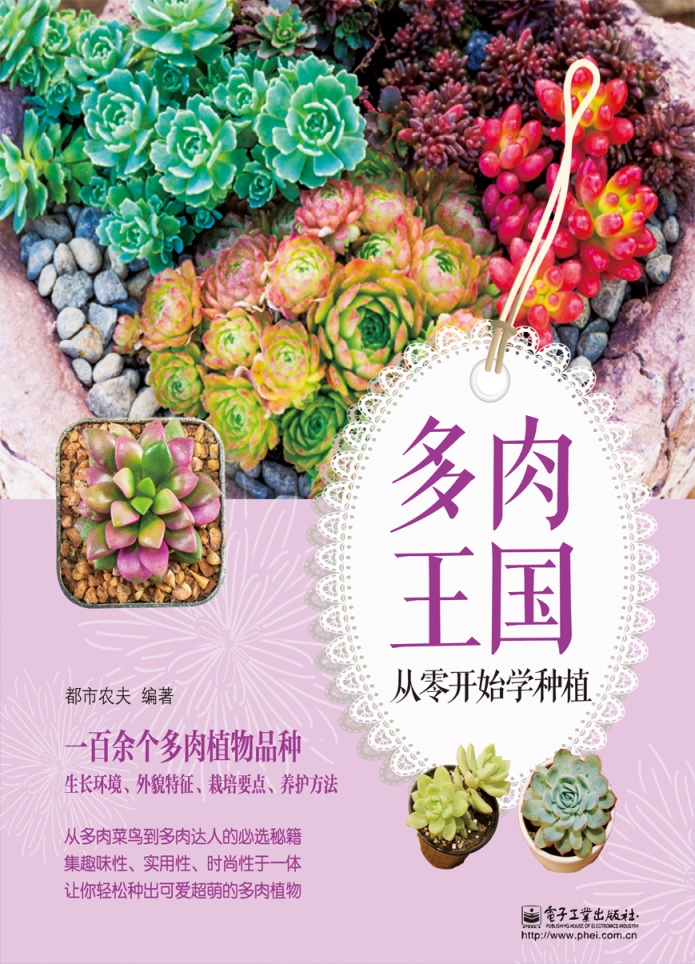 多肉王国：从零开始学种植