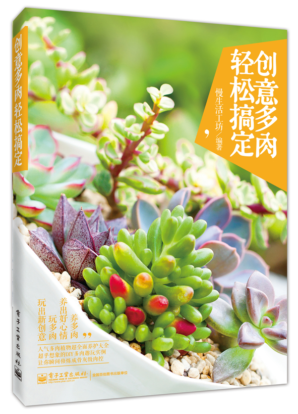 创意多肉，轻松搞定